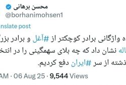 واکنش برهانی به اظهارات اخیر سعیدجلیلی و برادرش